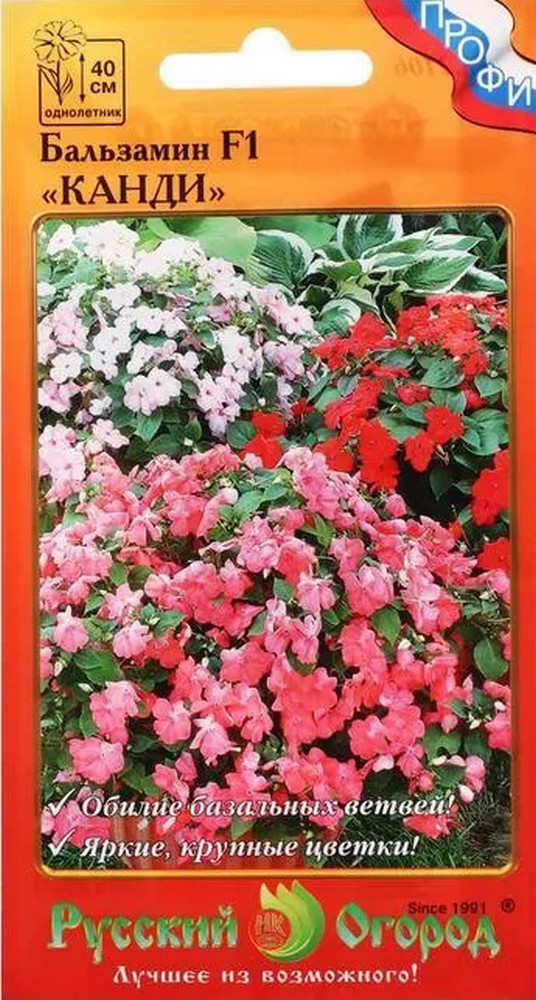 Бальзамин Канди F1 смесь, 10 шт. Русский огород