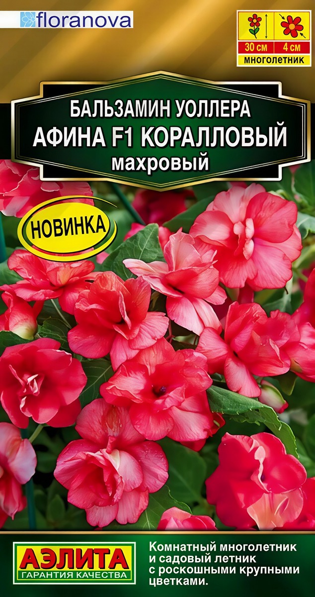 Бальзамин Афина F1 коралловый махровый, 5 шт.