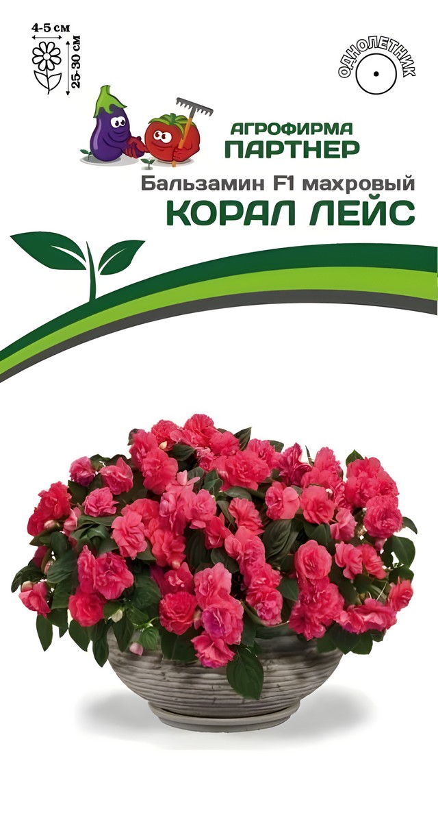Бальзамин F1 махровый Корал Лейс, 5 шт.