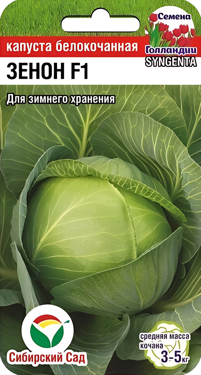 Капуста белокочанная Зенон F1, 10 шт. Семена Голландии. Сибирский сад.