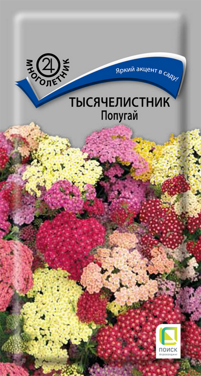 Тысячелистник Попугай, 10 шт.