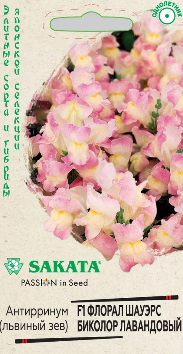 Антирринум, Львиный зев, Флорал Шауэрс Биколор, лавандовый F1 7 шт. Саката