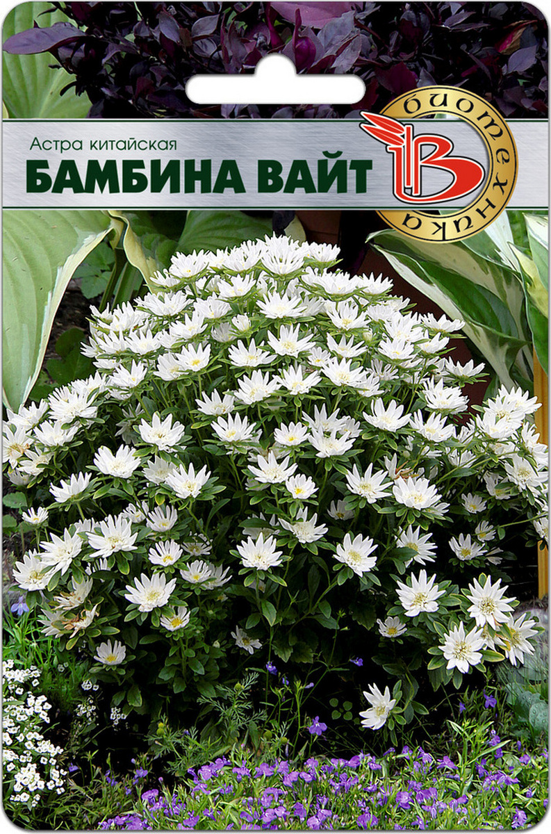 Астра Бамбина Вайт, 20 шт. Биотехника