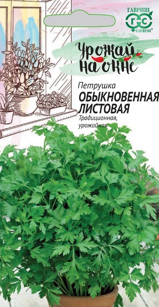 Петрушка листовая Обыкновенная, 2 г. Урожай на окне. 