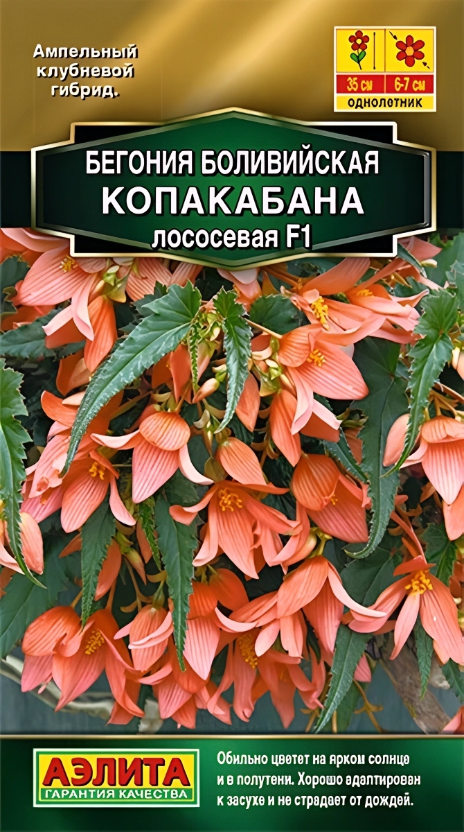 Бегония боливийская Копакабана F1, лососевая, 5 шт.