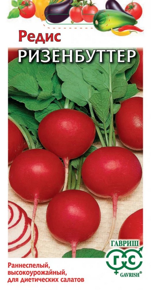 Редис Ризенбуттер, 2 г