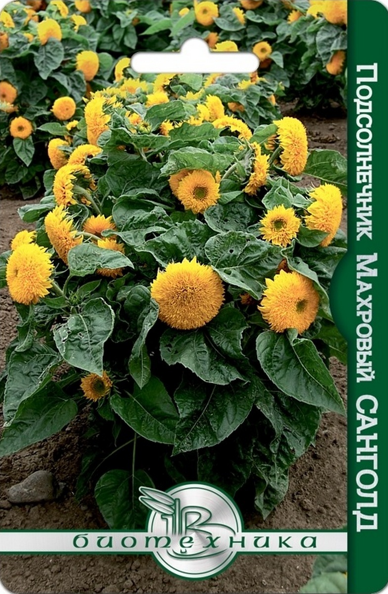 Подсолнечник махровый Санголд, 10 шт. Биотехника