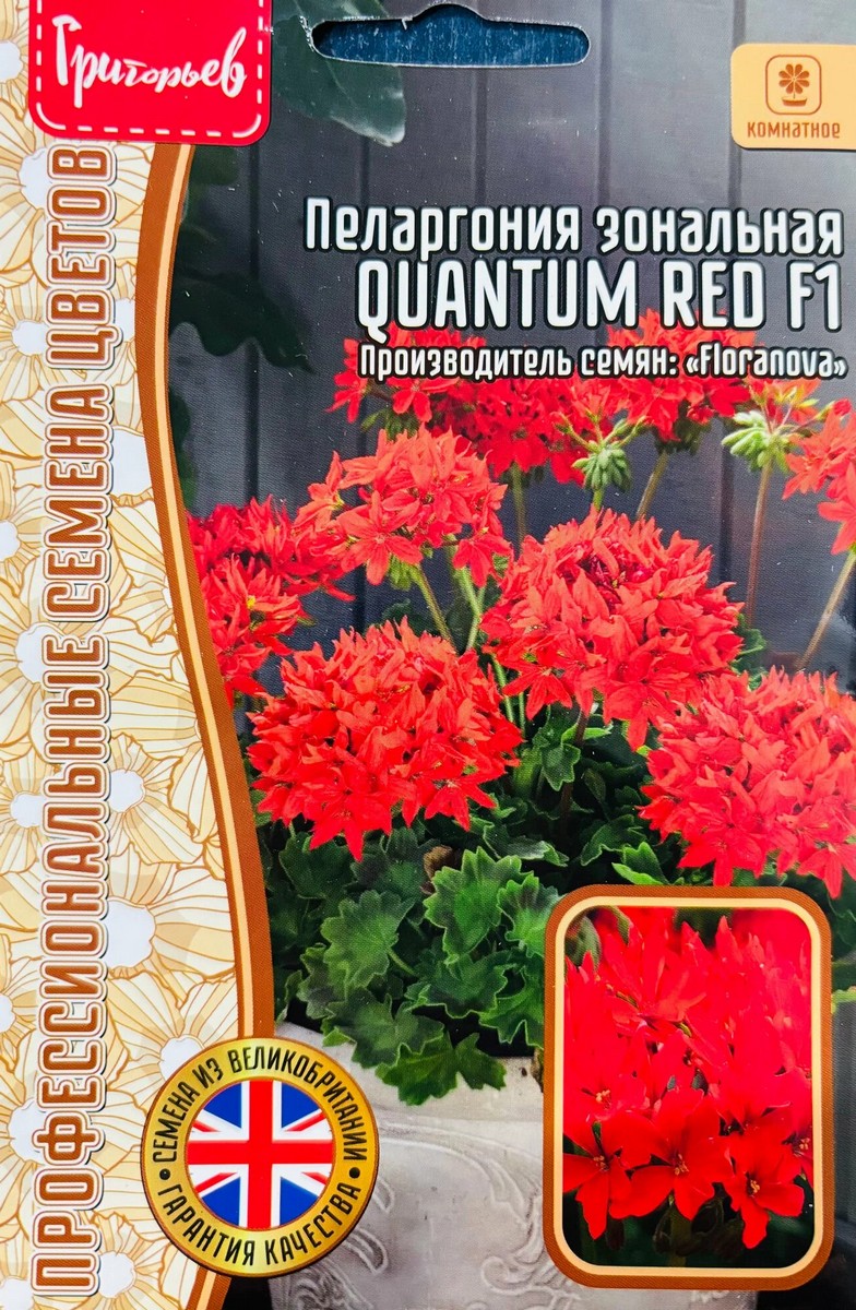 Пеларгония Quantum Red (Квантовый красный) F1, 3 шт.