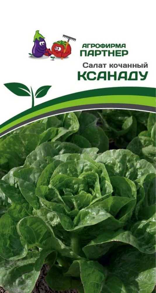 Салат кочанный Ксанаду, 15 шт. Агрофирма Партнер.