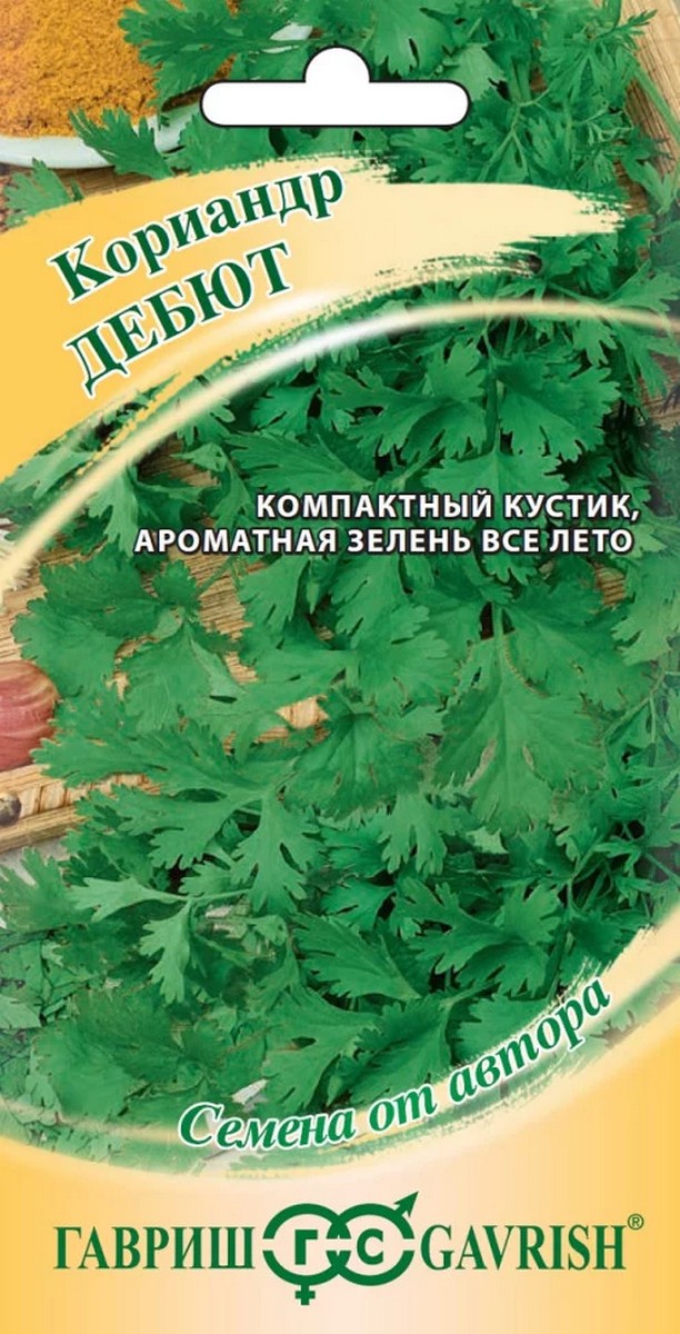 Кориандр Дебют, 2 г. Авторские семена.