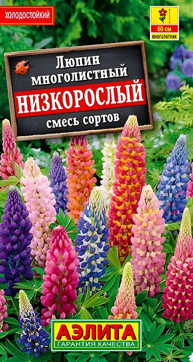 Люпин Низкорослый, смесь сортов, 15 шт.