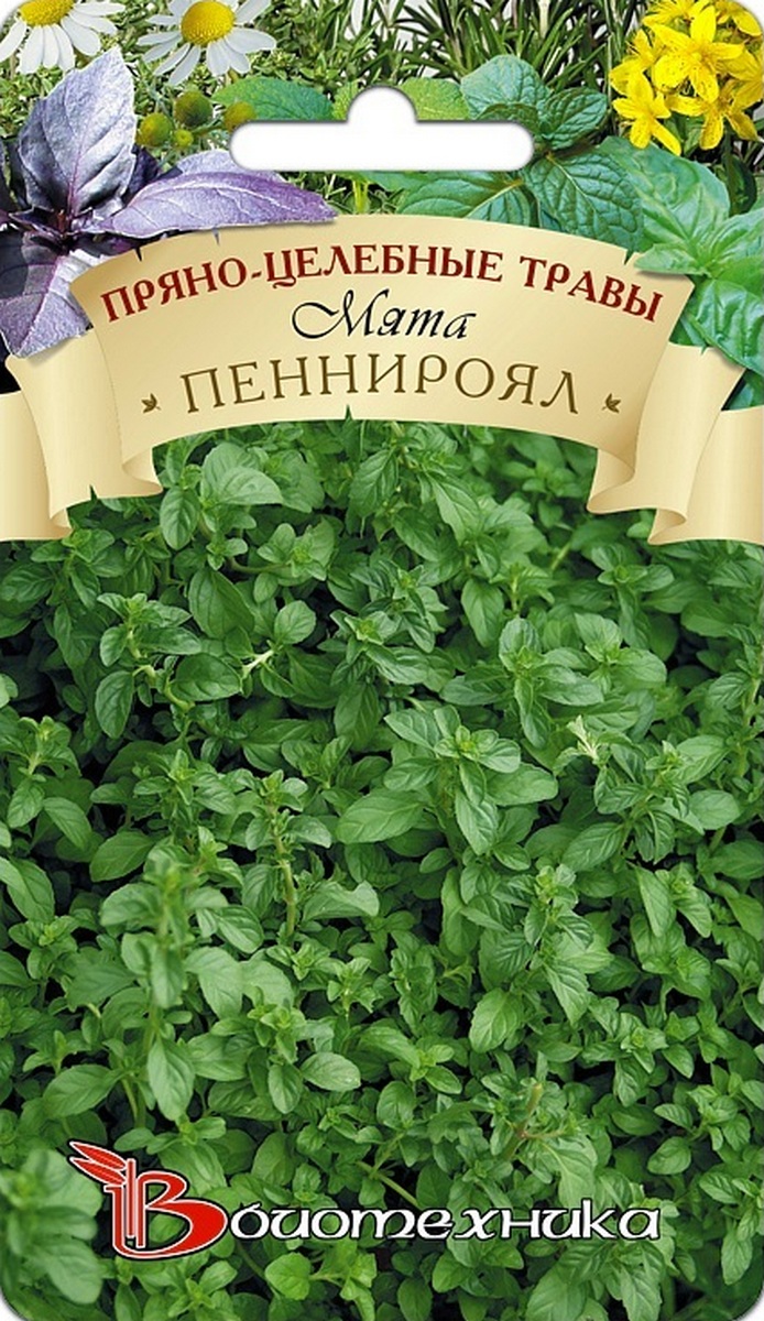 Мята Пеннироял, 0,05 г Биотехника