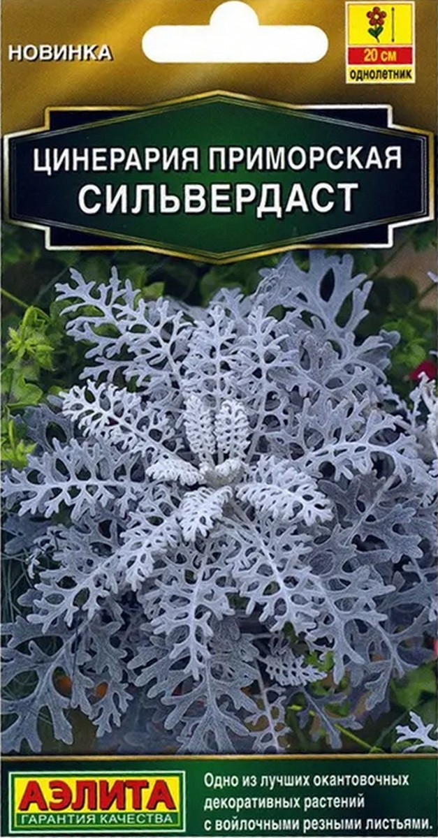 Цинерария Сильвердаст, 0,5 г