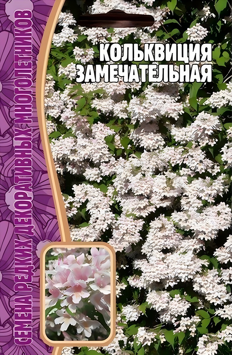 Кольквиция Замечательная, 4 шт.