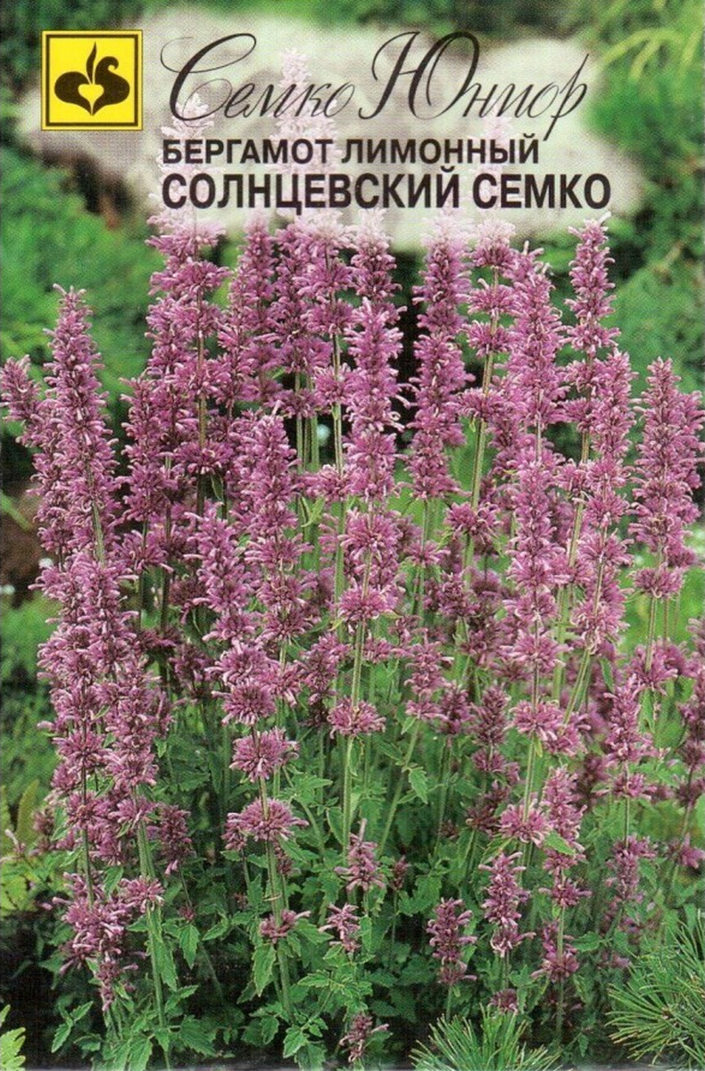 Монарда Солнцевский, 0,05 г. Семко.