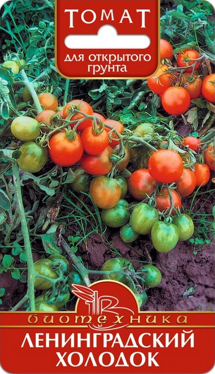 Томат Ленинградский холодок, 15 шт. Биотехника