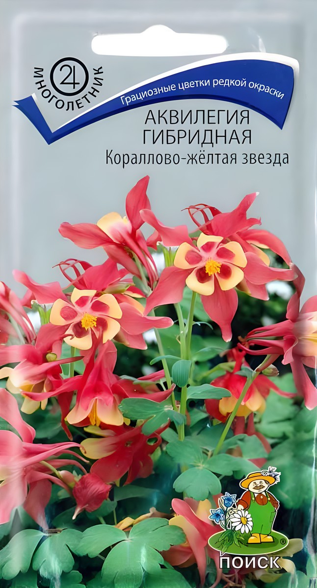 Аквилегия гибридная Кораллово-жёлтая звезда, 0,05 г