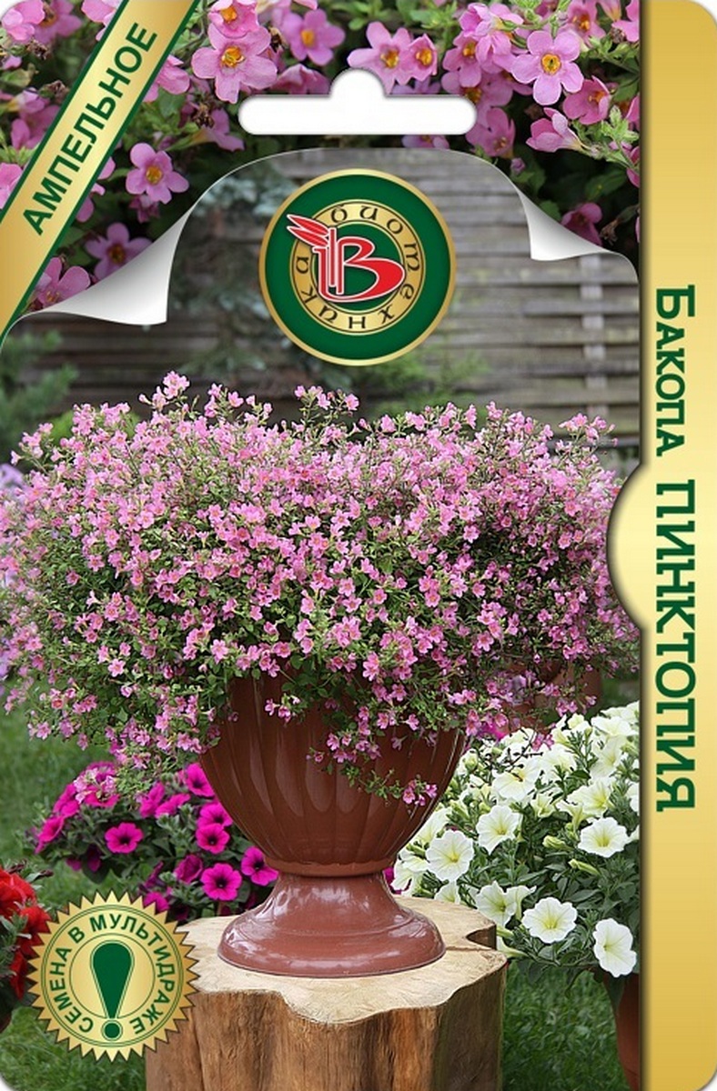 Бакопа Пинктопия, 5 шт. Биотехника