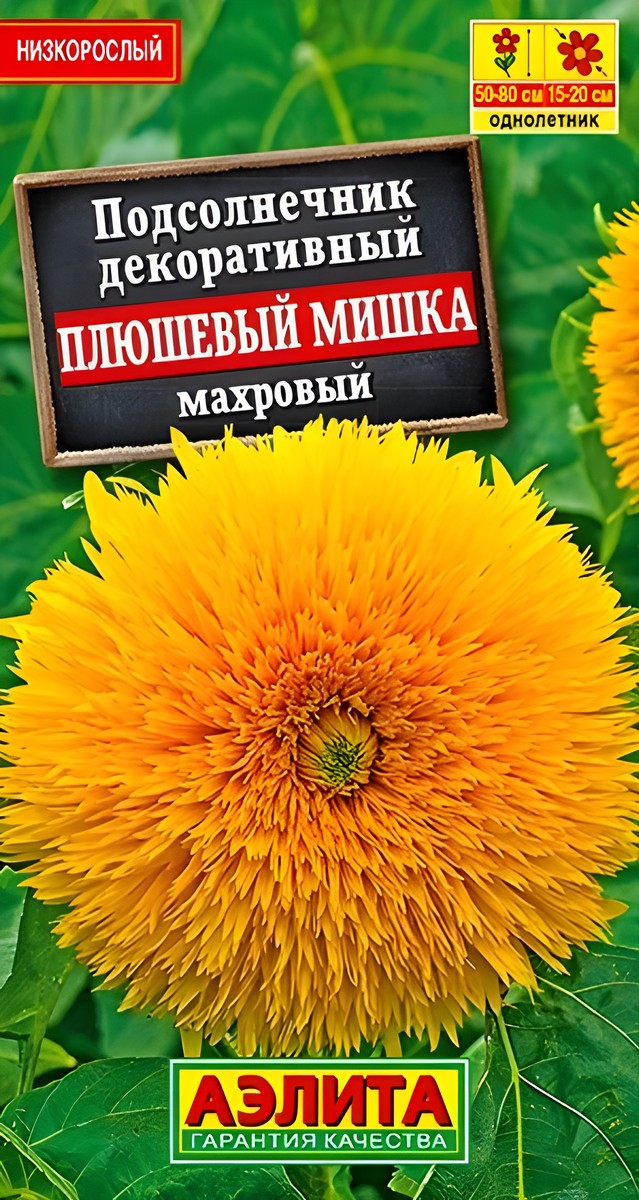 Подсолнечник махровый Плюшевый мишка, 0,5 г