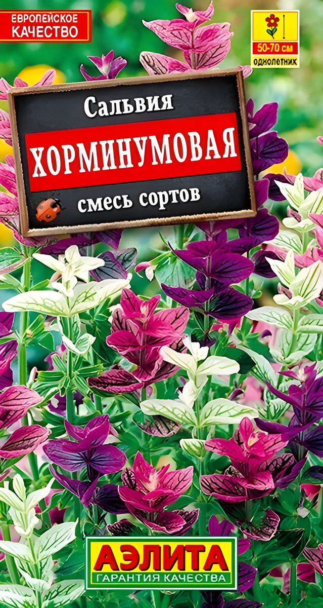 Сальвия Хорминумовая, смесь окрасок, 0,3 г