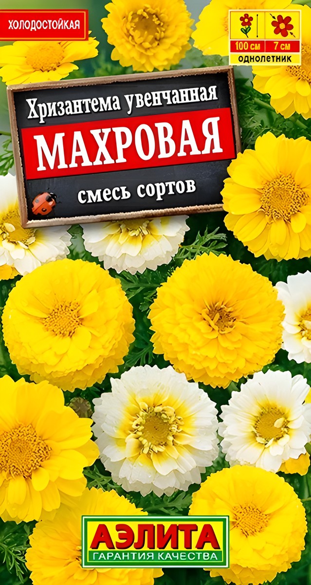 Хризантема махровая, смесь окрасок, 0,2 г