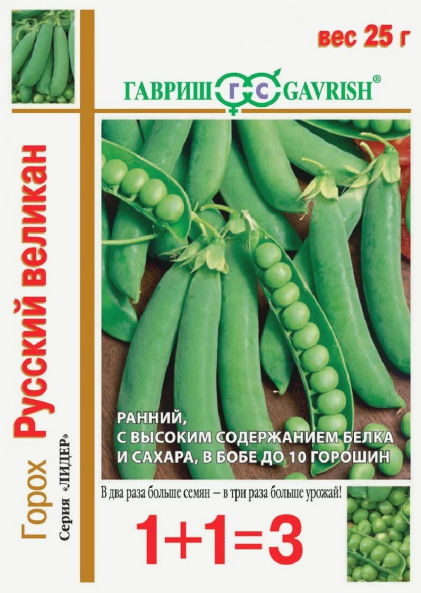 Горох Русский великан, вьющийся, 25 г. Авторские семена. 1+1
