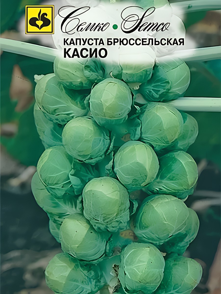 Капуста брюссельская Касио, 0,5 г. Семко.