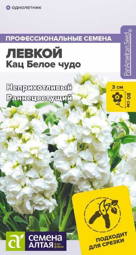 Левкой махровый Кац Белое чудо, 8 шт.