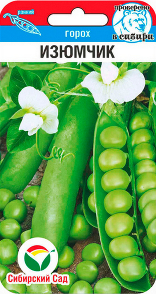 Горох Изюмчик, 5 г. Сибирский сад