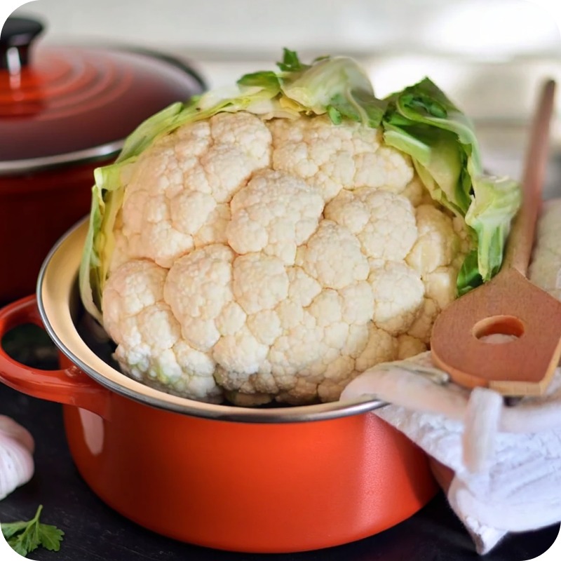 1616078984-8080 1.png