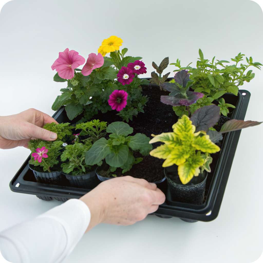 cvety_dly_posadki 1.png