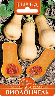 Тыква Виолончель, 6 шт. Биотехника