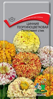Цинния георгиноцветковая Пеперминт стик, 0,4 г