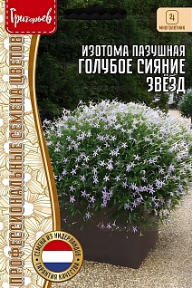 Изотома Голубое Сияние Звёзд (Starshine Blue) пазушная, 3 шт. 