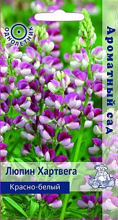 Люпин Хартвега Красно-белый, 0,15 г Ароматный сад