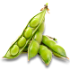 Соя
