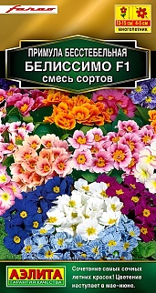 Примула Белиссимо F1, смесь окрасок, 7 шт.