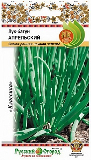 Лук-батун Апрельский, 1 г. Русский огород