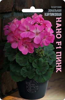 Пеларгония зональная карликовая Нано F1 Пинк, 5 шт. Биотехника