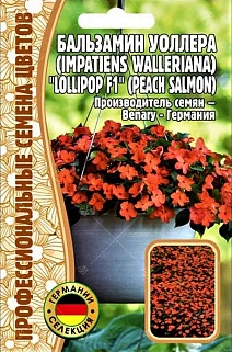 Бальзамин Уоллера Lollipop Peach Salmon (Леденец Персик Лосось) F1, 5 шт.