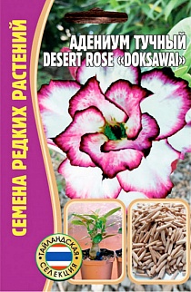Адениум Doksawai Desert Rose (Доксавай Пустынная Роза), 3 шт.