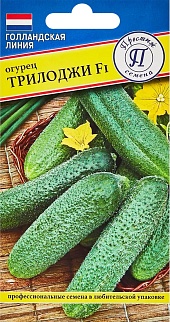 Огурец Трилоджи F1, 5 шт. Голландская серия