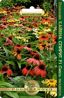 Эхинацея Кайена Спирит F1 смесь расцветок, 5 шт. Биотехника