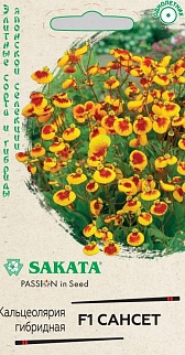 Кальцеолярия Сансет, 5 шт. Саката.