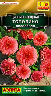 Цинния изящная Тополино, лососёвая, 12 шт.