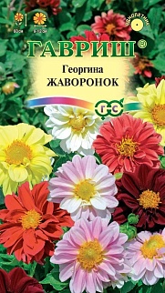 Георгина Жаворонок, смесь, 0,3 г 