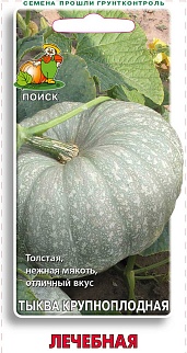 Тыква крупноплодная Лечебная, 10 шт.