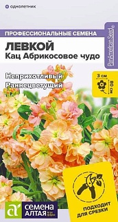 Левкой махровый Кац Абрикосовое чудо, 8 шт. 