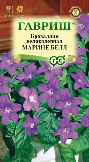 Броваллия великолепная Марине Белл, 3 шт.