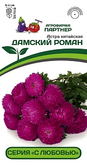 Астра китайская Дамский Роман, 5 шт. С любовью